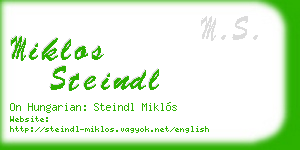 miklos steindl business card